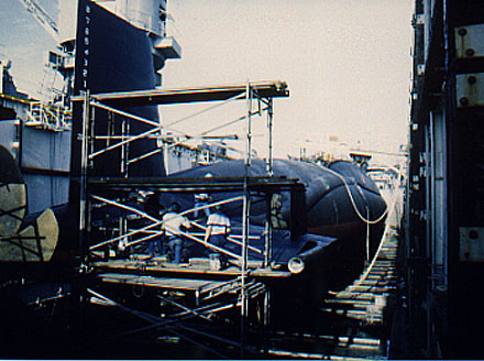 dryrear2.jpg